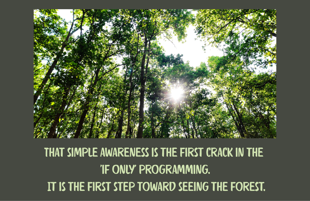Quote about simple awareness being the first step.